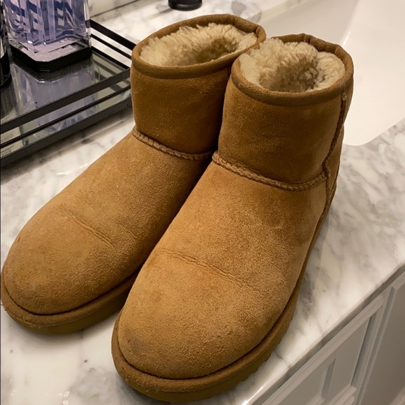 UGG Shoes - Ugg Classic mini II boot (chestnut)